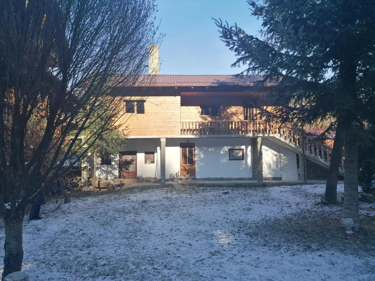 Pensiunea Perla Maramuresului Borşa Eksteriør billede