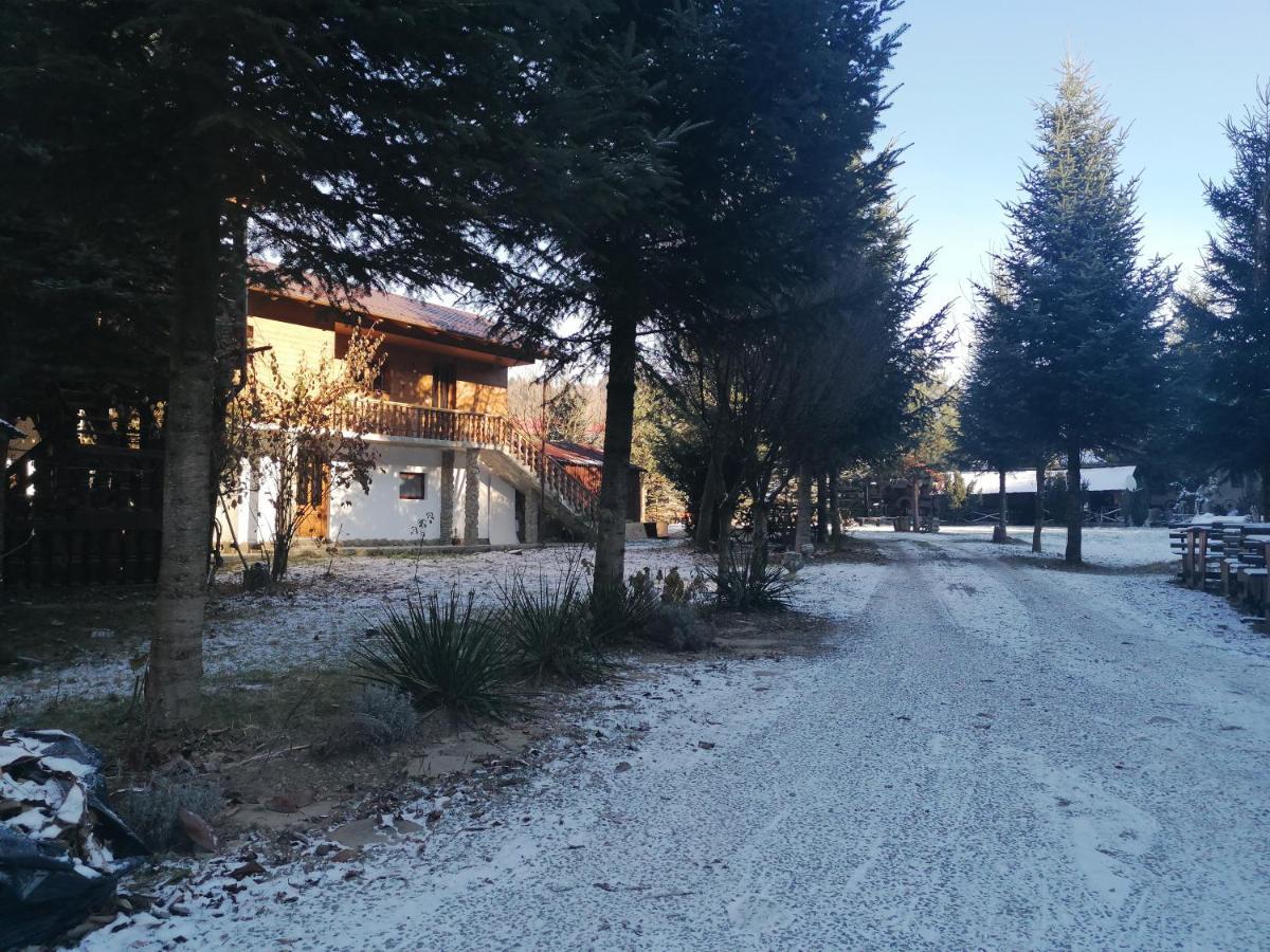 Pensiunea Perla Maramuresului Borşa Eksteriør billede