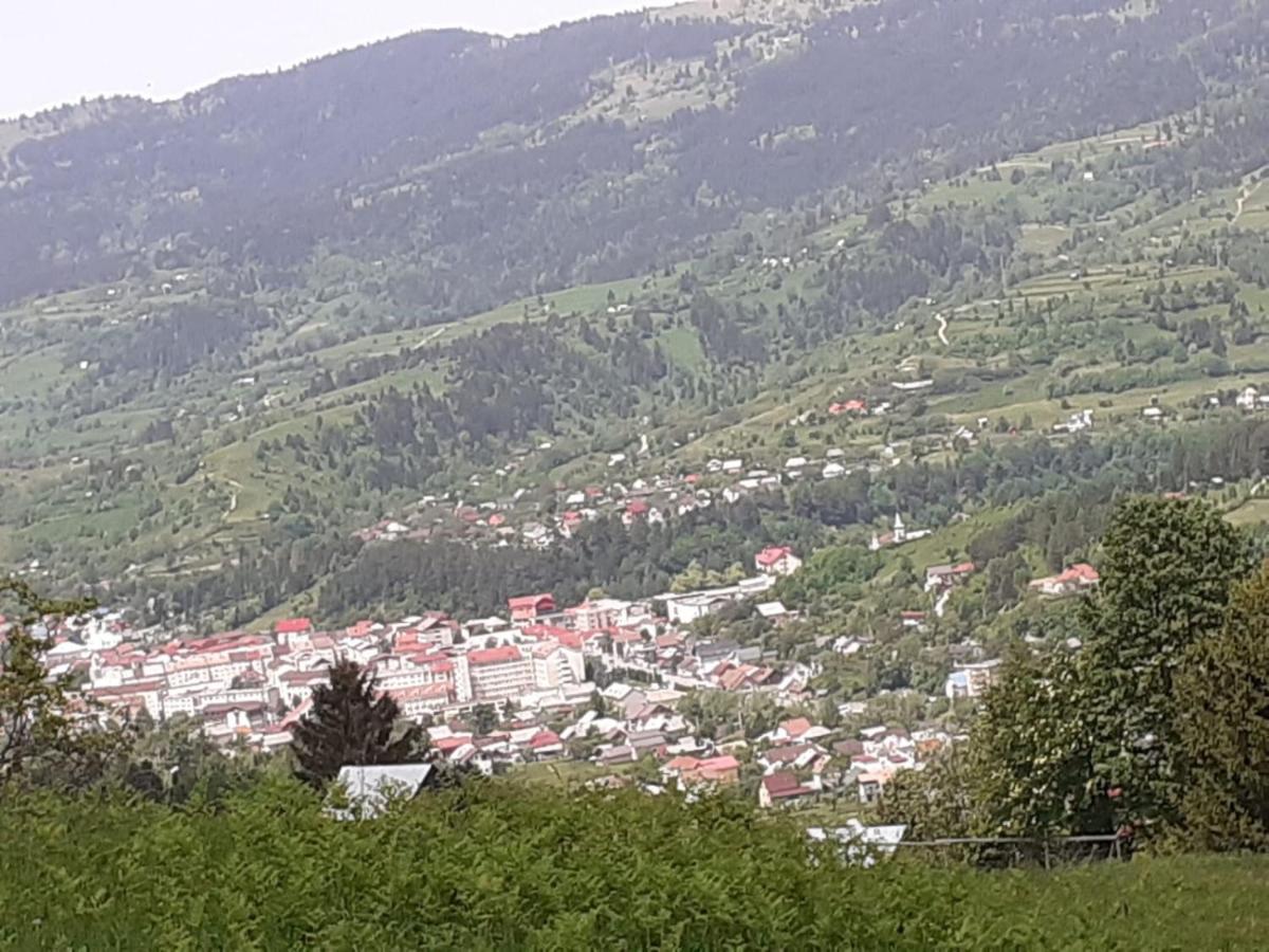 Pensiunea Perla Maramuresului Borşa Eksteriør billede